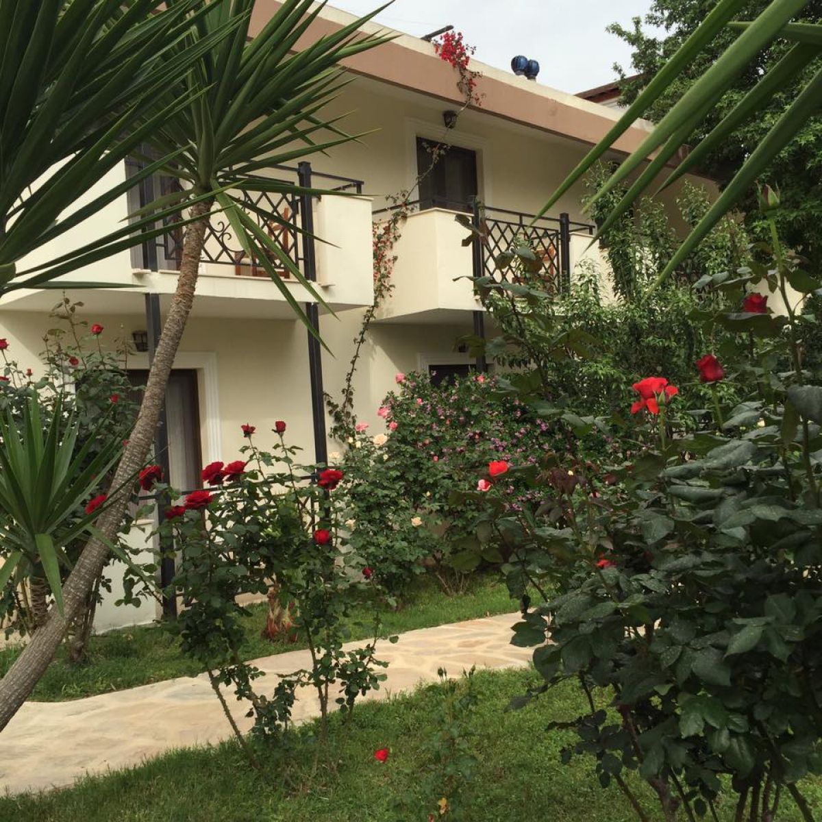 imagini hotel DARDANOS PATARA